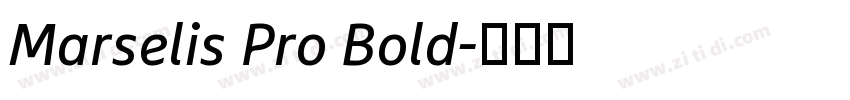 Marselis Pro Bold字体转换
